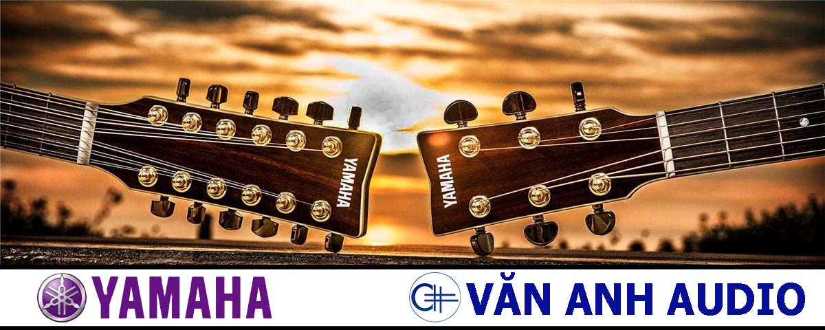 Làm sao để kiểm tra được Văn Anh Audio có bán hàng chính hãng Yamaha? Làm sao để kiểm tra được Văn Anh Audio có bán hàng chính hãng Yamaha?